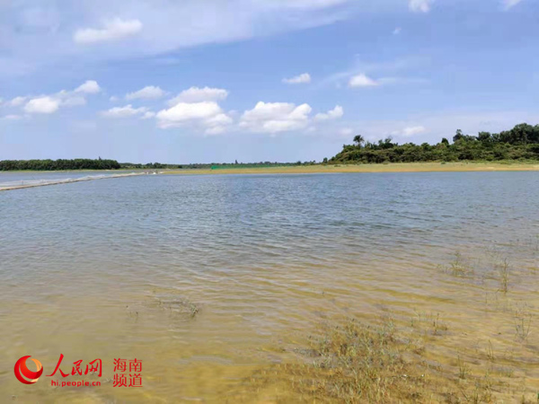 文昌翁龙水库水域治理实现三级跳提升居民饮水品质