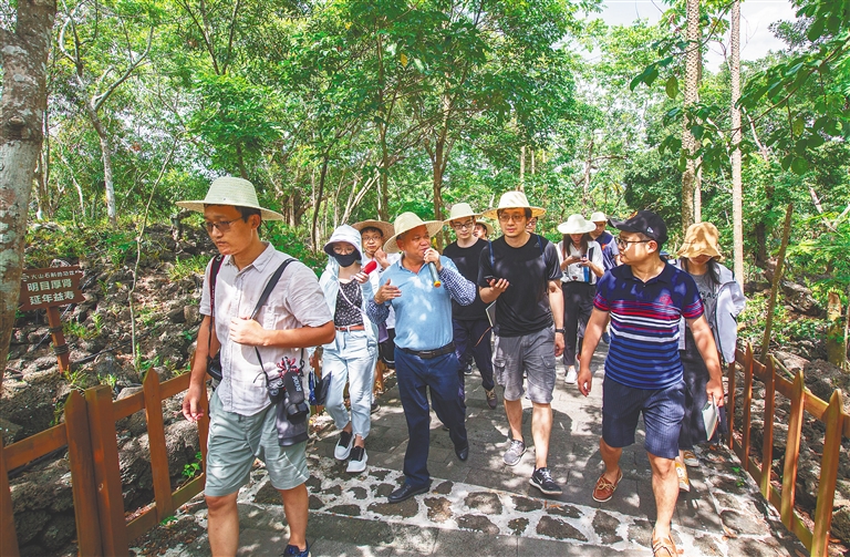 “林下养鸡”前景阔 “点石成金”产业兴