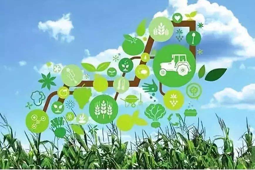 海南省农业农村厅：申报2020年度农业农村地方标准制修订项目