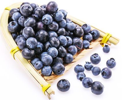 蓝莓产业未来10年或将达千亿产值