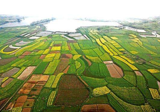 中国特色农产品优势区管理办法（试行）