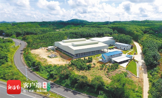 　9月15日，俯瞰澄迈文儒镇槟榔环保加工厂。海南日报记者 苏晓杰 通讯员 王家专 摄