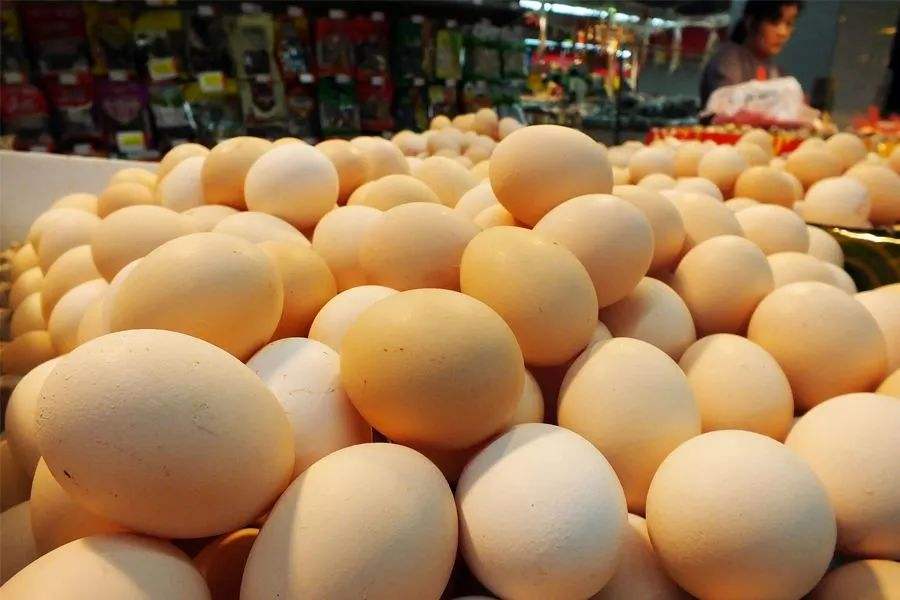 中国蛋品市场:供应链整合要不断完善