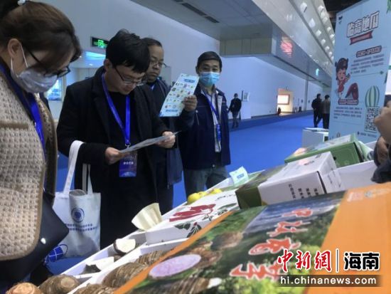 经销商关注临高特色农产品。主办方供图 经销商关注临高特色农产品。主办方供图