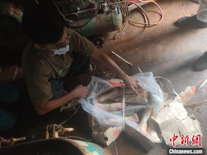 海南海警局在三亚海域查扣一艘涉嫌走私冻品外籍船舶