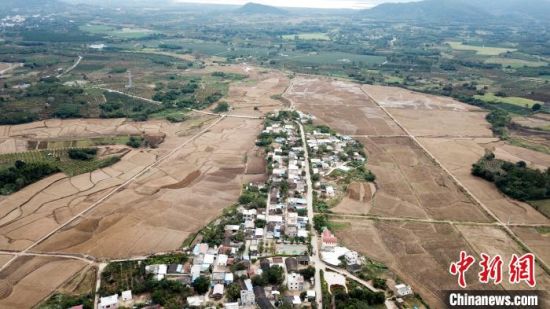航拍海南省东方市东河镇西方村,已完成毛豆种植的整地作业。林士杰 摄 航拍海南省东方市东河镇西方村,已完成毛豆种植的整地作业。林士杰 摄