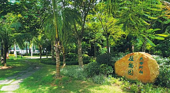 热带珍稀植物园。
