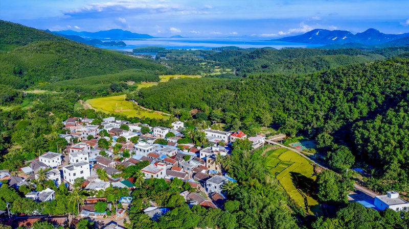 东方市绿水青山中的苗村。陈允武摄