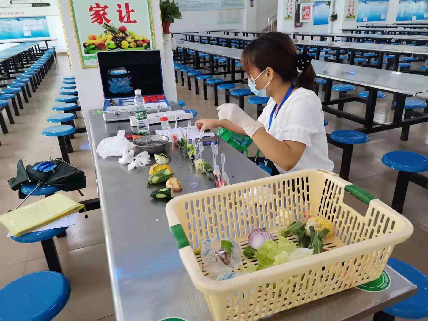 执法人员对考点食堂食材进行农残检测.jpg
