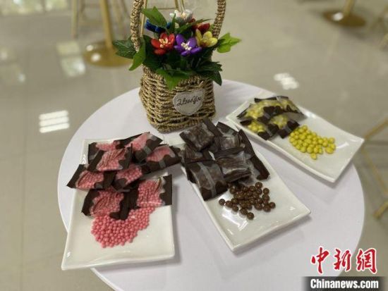 中国热带农业科学院科研团队研发的巧克力新产品。 符宇群 摄