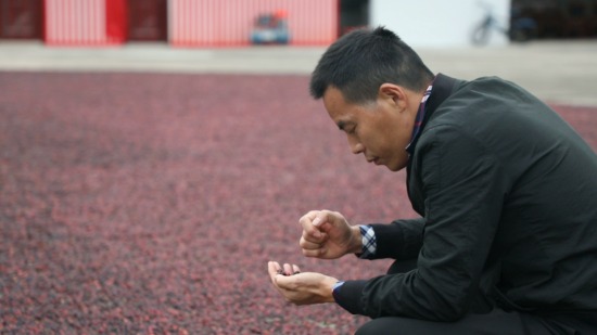 白沙县第二届优秀农村实用人才:成宗培