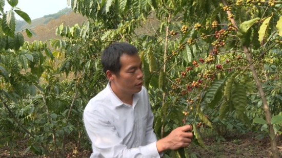 白沙县第二届优秀农村实用人才:成宗培