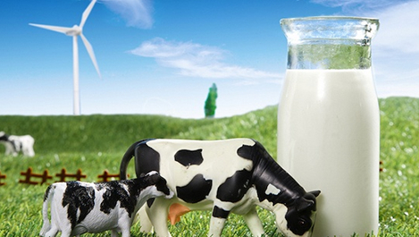 奶源过剩抑或消费乏力？