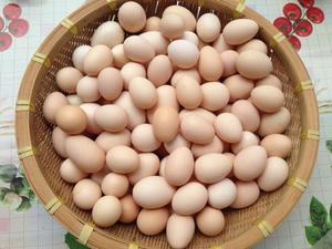 src=http___gaitaobao2.alicdn.com_img_bao_uploaded_i4_i4_1013151426_TB2hR5.IamWBuNjy1XaXXXCbXXa_!!1013151426.jpg_300x300.jpg&refer=http___gaitaobao2.alicdn.jpg src=http___gaitaobao2.alicdn.com_img_bao_uploaded_i4_i4_1013151426_TB2hR5.IamWBuNjy1XaXXXCbXXa_!!1013151426.jpg_300x300.jpg&refer=http___gaitaobao2.alicdn.jpg