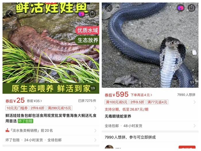 20220804102708376.jpg undefined