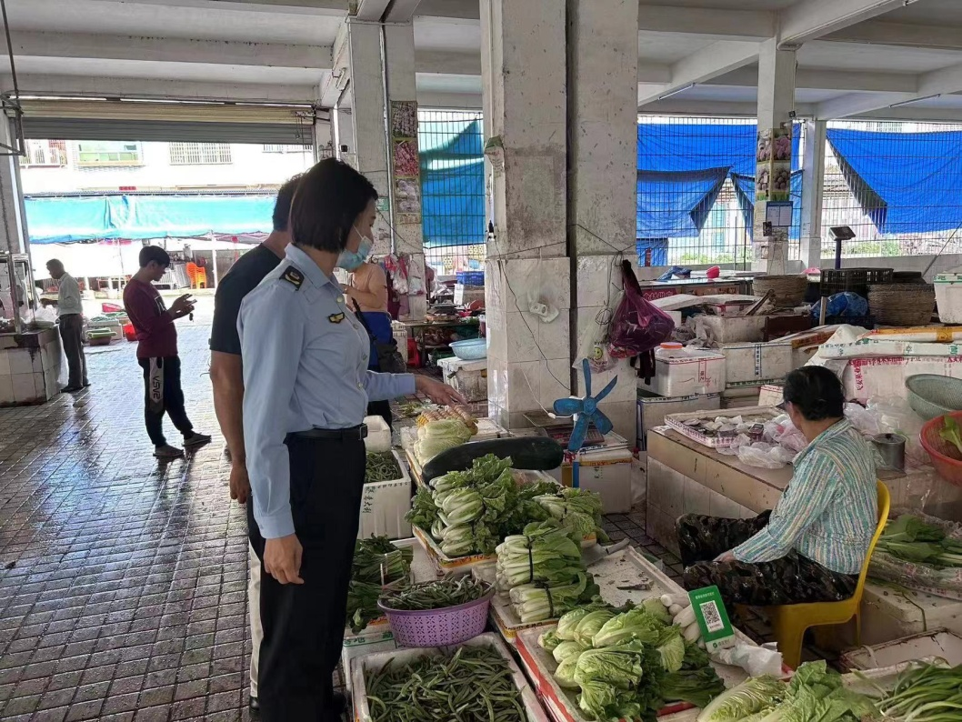 定安县雷鸣市监所打好豇豆入市“准备战”