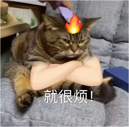 11.png undefined