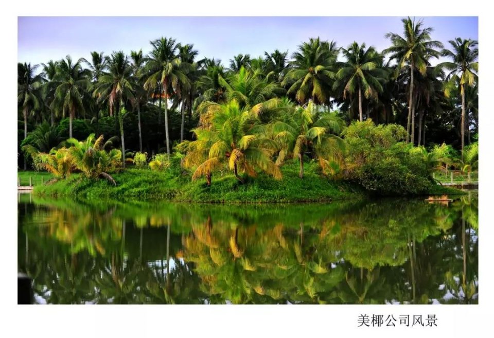海南美椰生物科技有限公司