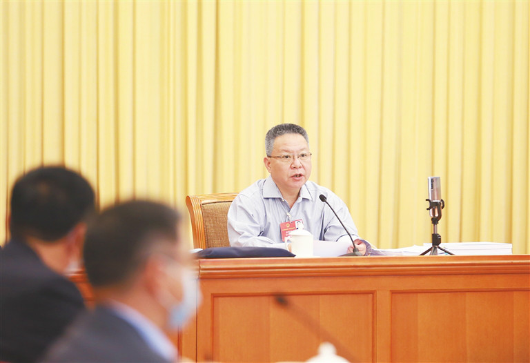 海南代表团在两会现场
