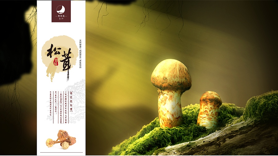 舌尖上的松茸濒危了？“杀鸡取卵”式采集致产量递减