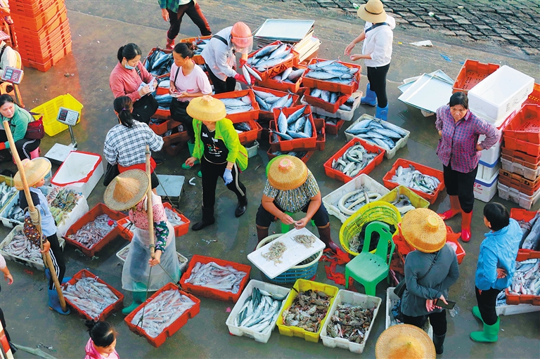 开渔季 鱼市旺