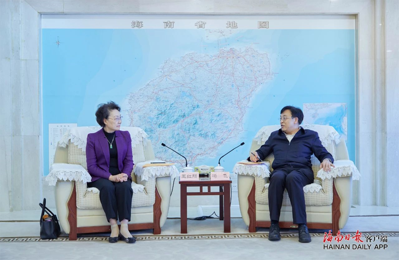 冯飞与中国工程院院士王红阳会谈