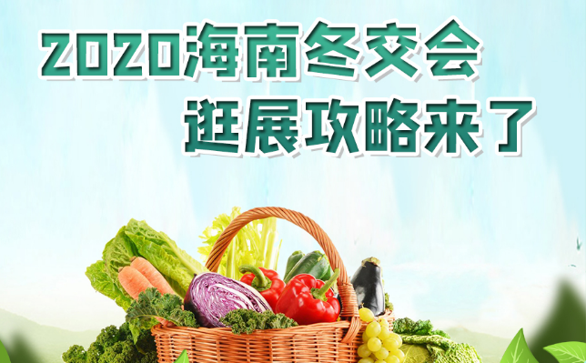 2020海南冬交会逛展攻略来了