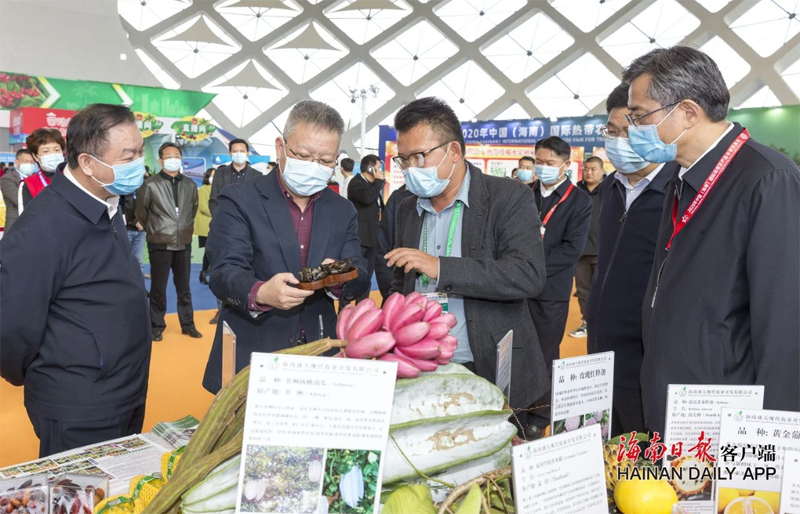 沈晓明冯飞分别到冬交会现场巡馆