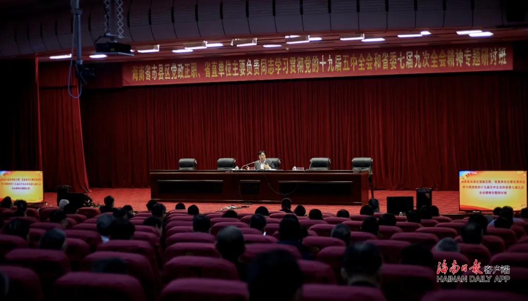 冯飞：在构建新发展格局中加快自贸港产业体系建设
