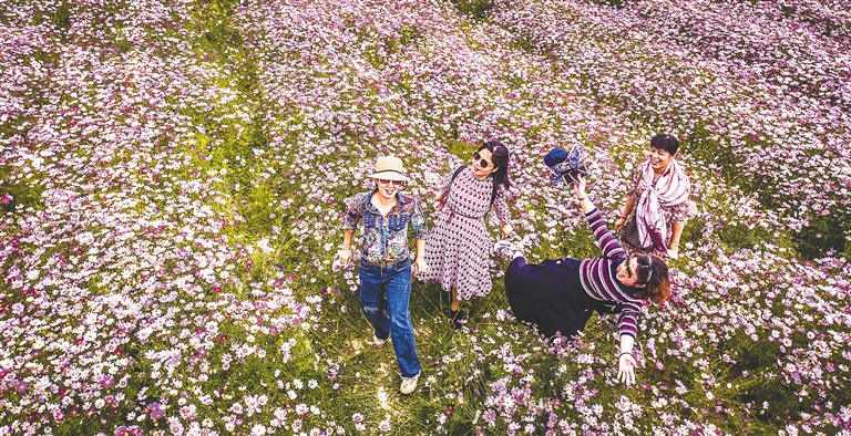 春日赏花正当时