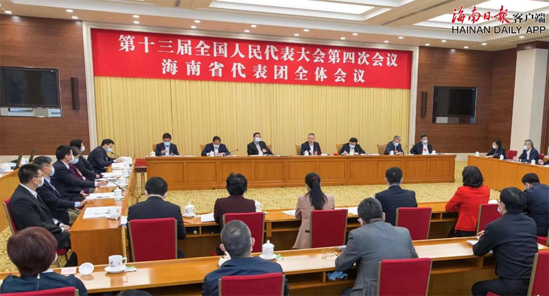 海南代表团人大代表履职精彩发言