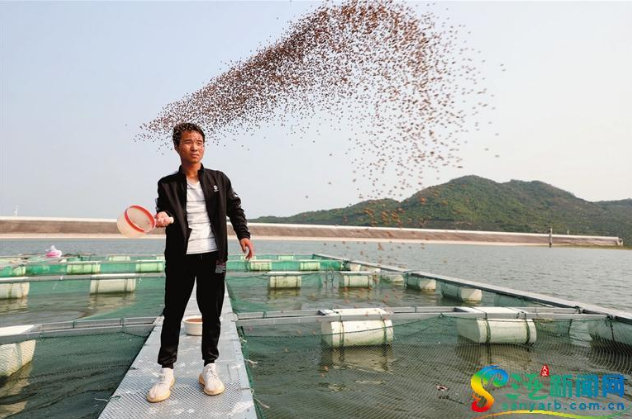 “小鱼”撬动三亚赤草村经济“大动脉”