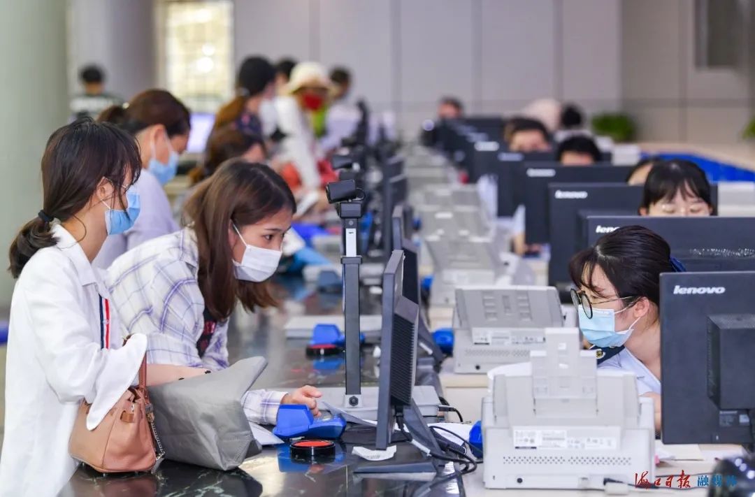 海口一季度新增市场主体31492户，占全省48.35%