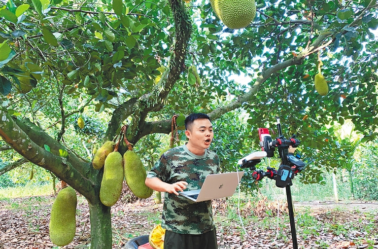 海南“网红经济”突围术：如何将资源优势转为发展胜势