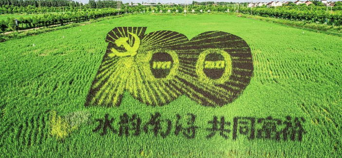 水稻为“颜料” 大地为“画布”