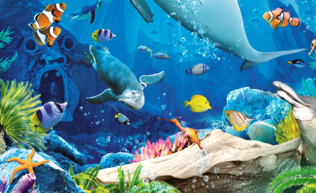 海洋生物资源在功能性配料领域大有可为
