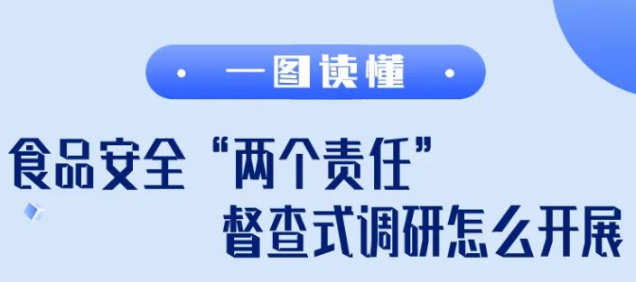 一图读懂 | 食品安全“两个责任”督查式调研怎么开展