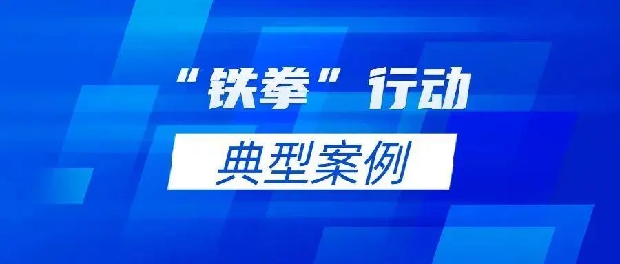2023民生领域案件查办“铁拳”行动典型案例（第四批）