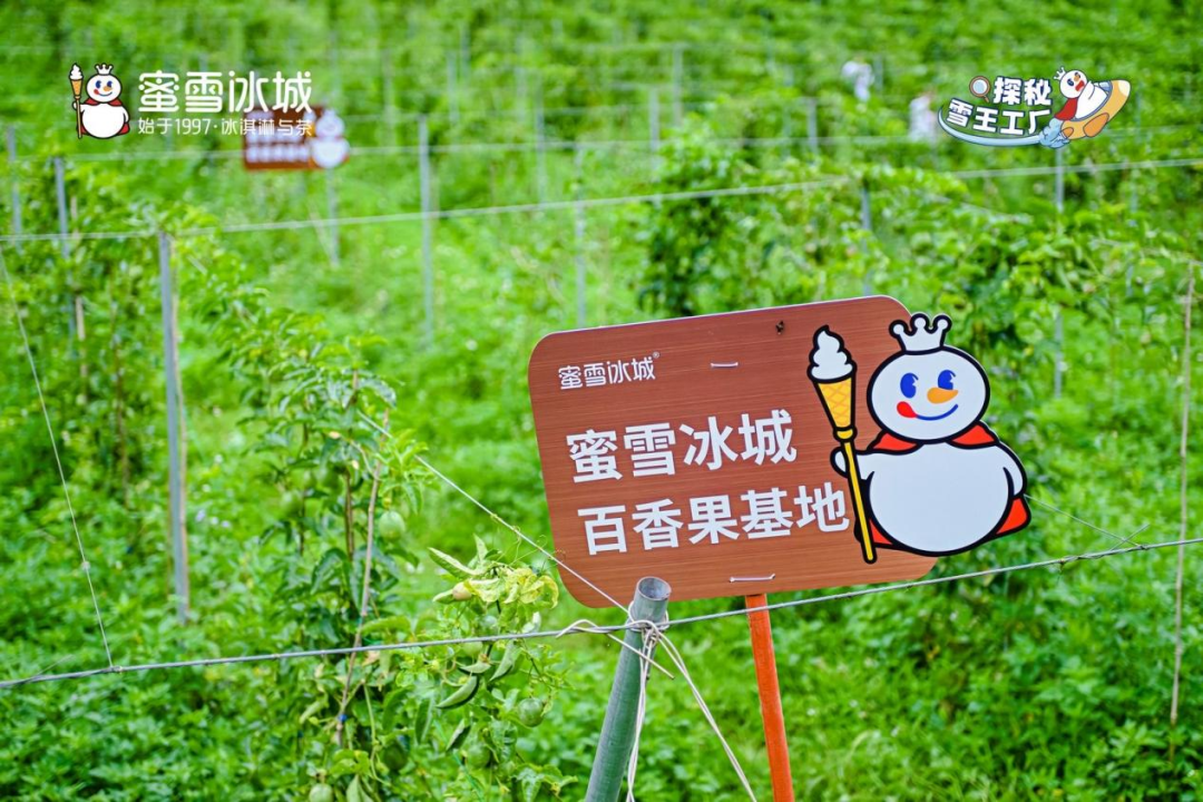 蜜雪冰城：从枝头到舌尖，连接甜蜜产业链