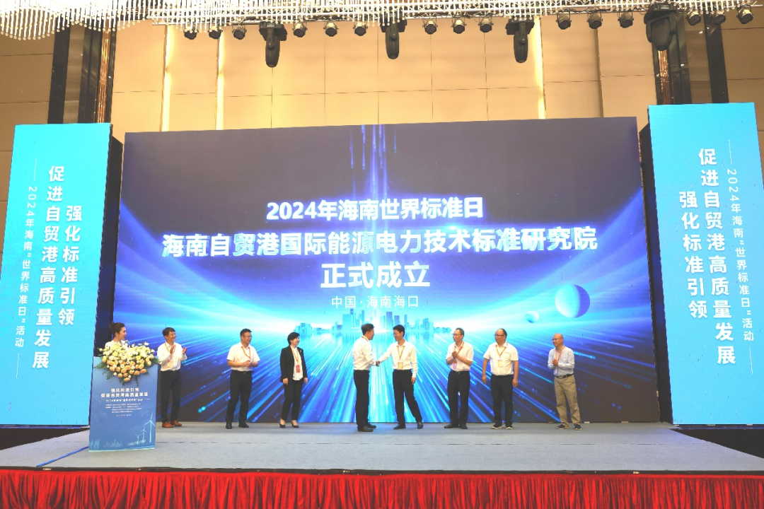海南自贸港国际能源电力技术标准研究院成立