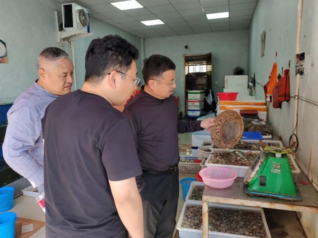 省局铁刚局长带队在白沙和昌江开展春节期间暗访检查