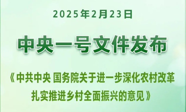 围绕“25年中央一号文件”，食品/农业科技工作者可以做什么？