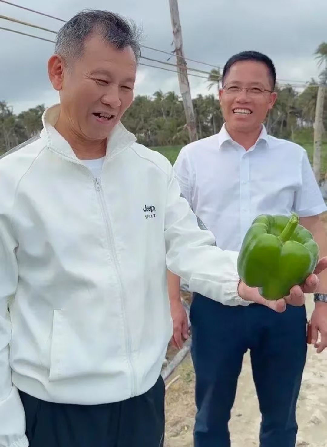 爱心汇聚 南国食品助力海南辣椒解滞销难题