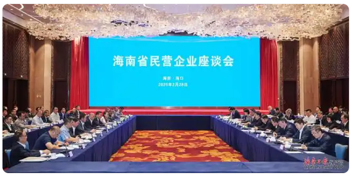 民企座谈谋发展 海南南国食品献策展担当
